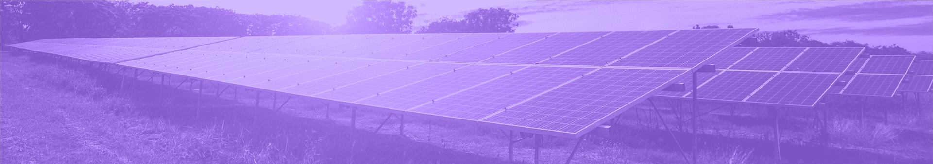 Ligy Energia Solar para Empresas em Fortaleza 